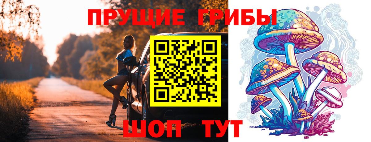 Спасск-Дальний  Псилоцибиновые грибы Psilocybe  Вход с VPN 